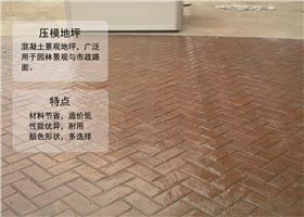 工廠車(chē)間地坪壓模地坪